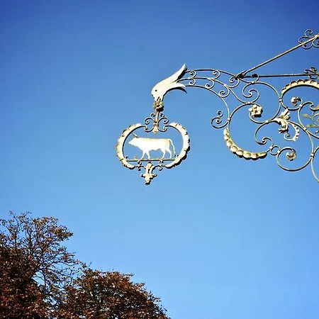 Ox